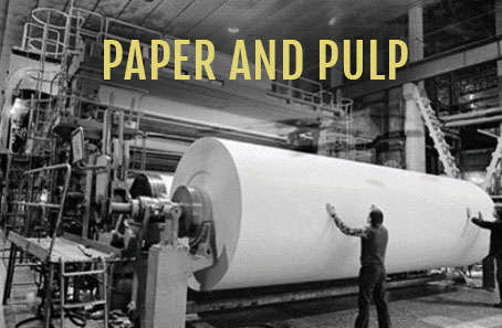 Paper and Plup
